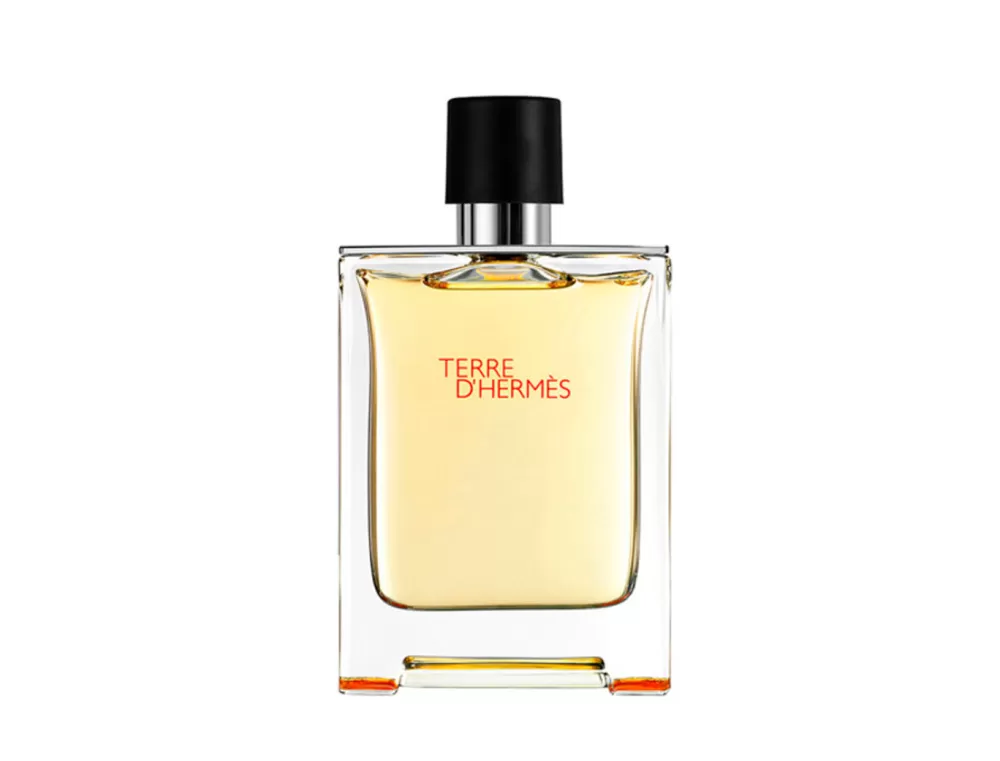 Online Hermès Terre D'Hermes Parfum